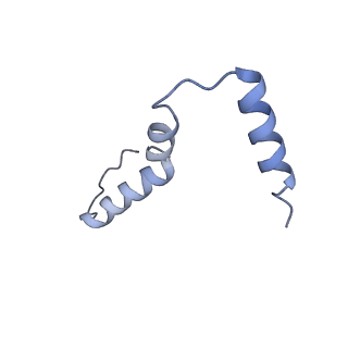 12035_7b5k_u_v1-0
E. coli 70S containing suppressor tRNA in the A-site stabilized by a Negamycin analogue and P-site tRNA-nascent chain.