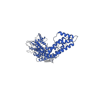 12037_7b5l_C_v1-2
Ubiquitin ligation to F-box protein substrates by SCF-RBR E3-E3 super-assembly: NEDD8-CUL1-RBX1-SKP1-SKP2-CKSHS1-Cyclin A-CDK2-p27-UBE2L3~Ub~ARIH1. Transition State 1