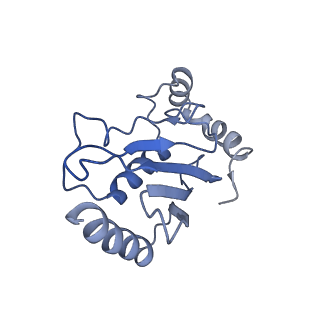 12037_7b5l_D_v1-2
Ubiquitin ligation to F-box protein substrates by SCF-RBR E3-E3 super-assembly: NEDD8-CUL1-RBX1-SKP1-SKP2-CKSHS1-Cyclin A-CDK2-p27-UBE2L3~Ub~ARIH1. Transition State 1