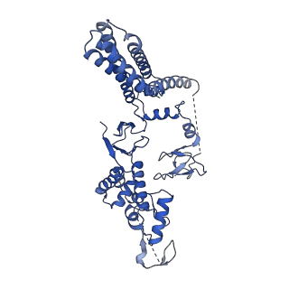 12037_7b5l_H_v1-2
Ubiquitin ligation to F-box protein substrates by SCF-RBR E3-E3 super-assembly: NEDD8-CUL1-RBX1-SKP1-SKP2-CKSHS1-Cyclin A-CDK2-p27-UBE2L3~Ub~ARIH1. Transition State 1