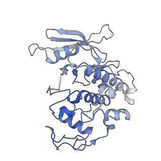 12037_7b5l_L_v1-2
Ubiquitin ligation to F-box protein substrates by SCF-RBR E3-E3 super-assembly: NEDD8-CUL1-RBX1-SKP1-SKP2-CKSHS1-Cyclin A-CDK2-p27-UBE2L3~Ub~ARIH1. Transition State 1