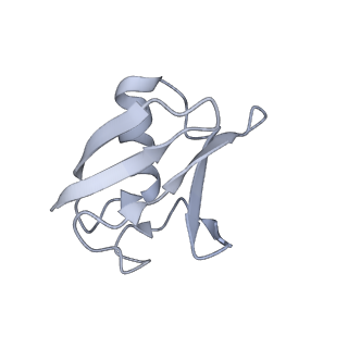 12037_7b5l_N_v1-2
Ubiquitin ligation to F-box protein substrates by SCF-RBR E3-E3 super-assembly: NEDD8-CUL1-RBX1-SKP1-SKP2-CKSHS1-Cyclin A-CDK2-p27-UBE2L3~Ub~ARIH1. Transition State 1