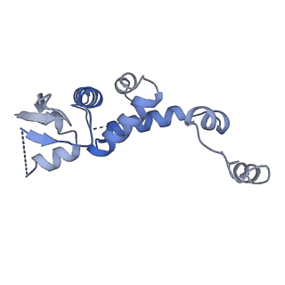 12037_7b5l_S_v1-2
Ubiquitin ligation to F-box protein substrates by SCF-RBR E3-E3 super-assembly: NEDD8-CUL1-RBX1-SKP1-SKP2-CKSHS1-Cyclin A-CDK2-p27-UBE2L3~Ub~ARIH1. Transition State 1