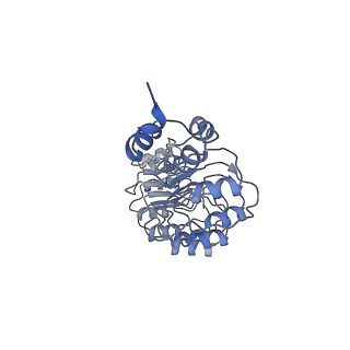12037_7b5l_T_v1-2
Ubiquitin ligation to F-box protein substrates by SCF-RBR E3-E3 super-assembly: NEDD8-CUL1-RBX1-SKP1-SKP2-CKSHS1-Cyclin A-CDK2-p27-UBE2L3~Ub~ARIH1. Transition State 1