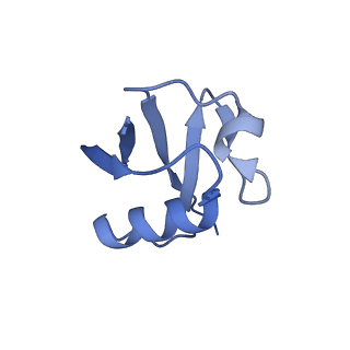 12037_7b5l_U_v1-2
Ubiquitin ligation to F-box protein substrates by SCF-RBR E3-E3 super-assembly: NEDD8-CUL1-RBX1-SKP1-SKP2-CKSHS1-Cyclin A-CDK2-p27-UBE2L3~Ub~ARIH1. Transition State 1