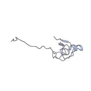 12040_7b5m_R_v1-2
Ubiquitin ligation to F-box protein substrates by SCF-RBR E3-E3 super-assembly: CUL1-RBX1-SKP1-SKP2-CKSHS1-p27~Ub~ARIH1. Transition State 2