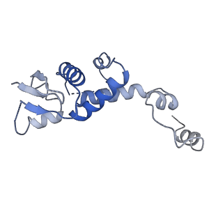 12040_7b5m_S_v1-2
Ubiquitin ligation to F-box protein substrates by SCF-RBR E3-E3 super-assembly: CUL1-RBX1-SKP1-SKP2-CKSHS1-p27~Ub~ARIH1. Transition State 2