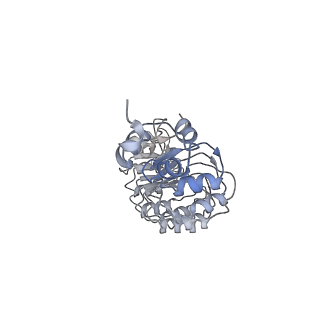 12040_7b5m_T_v1-2
Ubiquitin ligation to F-box protein substrates by SCF-RBR E3-E3 super-assembly: CUL1-RBX1-SKP1-SKP2-CKSHS1-p27~Ub~ARIH1. Transition State 2