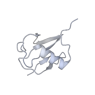 12040_7b5m_U_v1-2
Ubiquitin ligation to F-box protein substrates by SCF-RBR E3-E3 super-assembly: CUL1-RBX1-SKP1-SKP2-CKSHS1-p27~Ub~ARIH1. Transition State 2