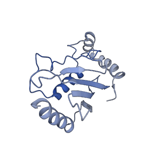 12041_7b5n_D_v1-2
Ubiquitin ligation to F-box protein substrates by SCF-RBR E3-E3 super-assembly: NEDD8-CUL1-RBX1-UBE2L3~Ub~ARIH1.