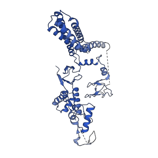 12041_7b5n_H_v1-2
Ubiquitin ligation to F-box protein substrates by SCF-RBR E3-E3 super-assembly: NEDD8-CUL1-RBX1-UBE2L3~Ub~ARIH1.