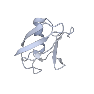 12041_7b5n_N_v1-2
Ubiquitin ligation to F-box protein substrates by SCF-RBR E3-E3 super-assembly: NEDD8-CUL1-RBX1-UBE2L3~Ub~ARIH1.
