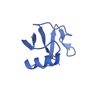 12041_7b5n_U_v1-2
Ubiquitin ligation to F-box protein substrates by SCF-RBR E3-E3 super-assembly: NEDD8-CUL1-RBX1-UBE2L3~Ub~ARIH1.