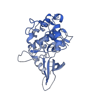 12042_7b5o_J_v1-2
Cryo-EM structure of the human CAK bound to ICEC0942 at 2.5 Angstroms resolution