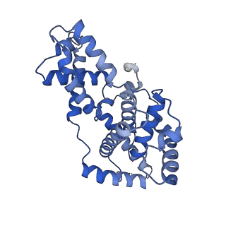 12042_7b5q_I_v1-2
Cryo-EM structure of the human CAK bound to ICEC0942 (PHENIX-OPLS3e)