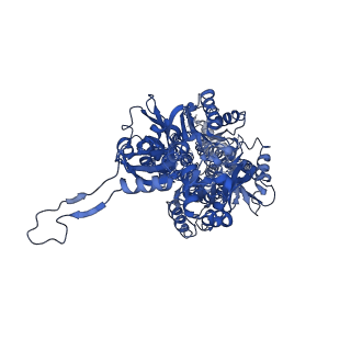 12043_7b5p_C_v1-0
AcrB in cycloalkane amphipol