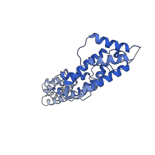 12048_7b5r_C_v1-2
Ubiquitin ligation to F-box protein substrates by SCF-RBR E3-E3 super-assembly: CUL1-RBX1-SKP1-SKP2-CKSHS1-Cyclin A-CDK2-p27