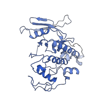 12048_7b5r_L_v1-2
Ubiquitin ligation to F-box protein substrates by SCF-RBR E3-E3 super-assembly: CUL1-RBX1-SKP1-SKP2-CKSHS1-Cyclin A-CDK2-p27