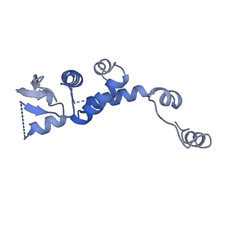 12048_7b5r_S_v1-2
Ubiquitin ligation to F-box protein substrates by SCF-RBR E3-E3 super-assembly: CUL1-RBX1-SKP1-SKP2-CKSHS1-Cyclin A-CDK2-p27