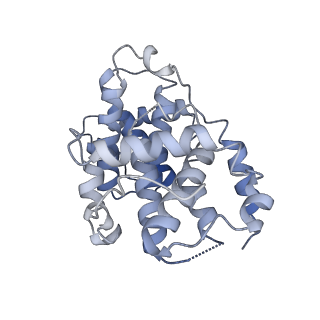 12048_7b5r_Y_v1-2
Ubiquitin ligation to F-box protein substrates by SCF-RBR E3-E3 super-assembly: CUL1-RBX1-SKP1-SKP2-CKSHS1-Cyclin A-CDK2-p27