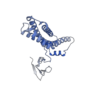 12050_7b5s_H_v1-2
Ubiquitin ligation to F-box protein substrates by SCF-RBR E3-E3 super-assembly: CUL1-RBX1-ARIH1 Ariadne. Transition State 1