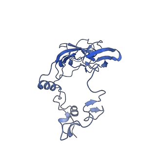 15860_8b5l_A_v1-1
Cryo-EM structure of ribosome-Sec61-TRAP (TRanslocon Associated Protein) translocon complex