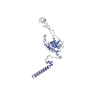 15860_8b5l_C_v1-1
Cryo-EM structure of ribosome-Sec61-TRAP (TRanslocon Associated Protein) translocon complex