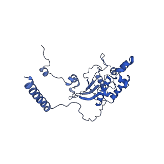 15860_8b5l_D_v1-1
Cryo-EM structure of ribosome-Sec61-TRAP (TRanslocon Associated Protein) translocon complex