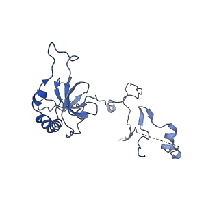 15860_8b5l_E_v1-1
Cryo-EM structure of ribosome-Sec61-TRAP (TRanslocon Associated Protein) translocon complex