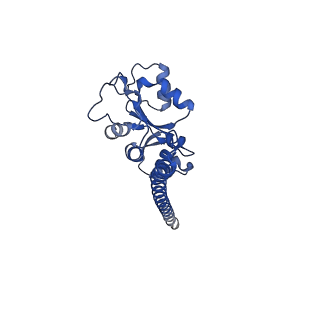 15860_8b5l_F_v1-1
Cryo-EM structure of ribosome-Sec61-TRAP (TRanslocon Associated Protein) translocon complex