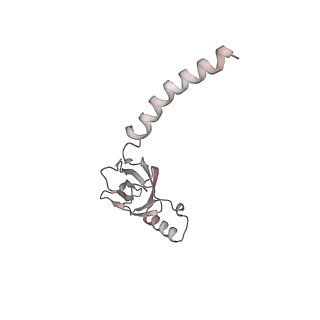 15860_8b5l_K_v1-1
Cryo-EM structure of ribosome-Sec61-TRAP (TRanslocon Associated Protein) translocon complex
