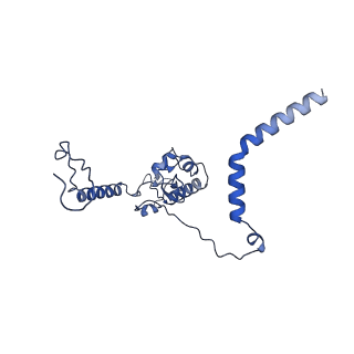 15860_8b5l_L_v1-1
Cryo-EM structure of ribosome-Sec61-TRAP (TRanslocon Associated Protein) translocon complex