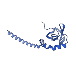 15860_8b5l_M_v1-1
Cryo-EM structure of ribosome-Sec61-TRAP (TRanslocon Associated Protein) translocon complex