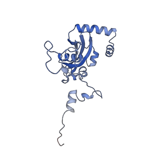 15860_8b5l_N_v1-1
Cryo-EM structure of ribosome-Sec61-TRAP (TRanslocon Associated Protein) translocon complex