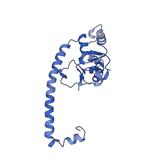 15860_8b5l_O_v1-1
Cryo-EM structure of ribosome-Sec61-TRAP (TRanslocon Associated Protein) translocon complex