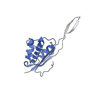 15860_8b5l_P_v1-1
Cryo-EM structure of ribosome-Sec61-TRAP (TRanslocon Associated Protein) translocon complex