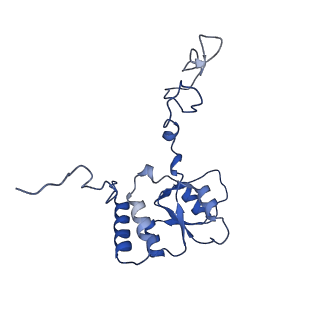 15860_8b5l_Q_v1-1
Cryo-EM structure of ribosome-Sec61-TRAP (TRanslocon Associated Protein) translocon complex