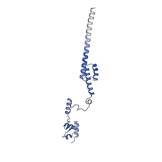 15860_8b5l_R_v1-1
Cryo-EM structure of ribosome-Sec61-TRAP (TRanslocon Associated Protein) translocon complex