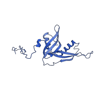 15860_8b5l_S_v1-1
Cryo-EM structure of ribosome-Sec61-TRAP (TRanslocon Associated Protein) translocon complex