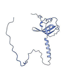 15860_8b5l_T_v1-1
Cryo-EM structure of ribosome-Sec61-TRAP (TRanslocon Associated Protein) translocon complex