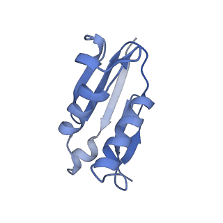 15860_8b5l_U_v1-1
Cryo-EM structure of ribosome-Sec61-TRAP (TRanslocon Associated Protein) translocon complex