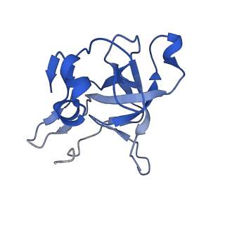 15860_8b5l_V_v1-1
Cryo-EM structure of ribosome-Sec61-TRAP (TRanslocon Associated Protein) translocon complex