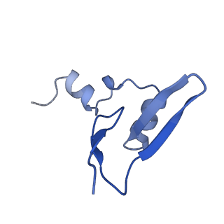 15860_8b5l_W_v1-1
Cryo-EM structure of ribosome-Sec61-TRAP (TRanslocon Associated Protein) translocon complex