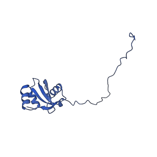 15860_8b5l_X_v1-1
Cryo-EM structure of ribosome-Sec61-TRAP (TRanslocon Associated Protein) translocon complex