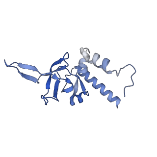 15860_8b5l_Y_v1-1
Cryo-EM structure of ribosome-Sec61-TRAP (TRanslocon Associated Protein) translocon complex
