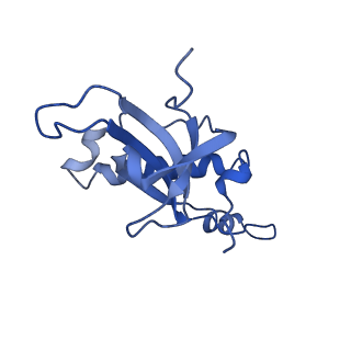 15860_8b5l_Z_v1-1
Cryo-EM structure of ribosome-Sec61-TRAP (TRanslocon Associated Protein) translocon complex