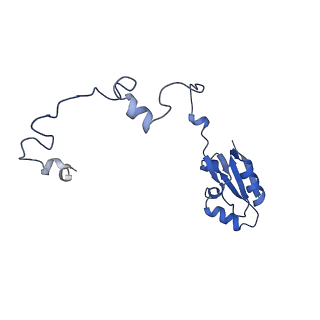 15860_8b5l_a_v1-1
Cryo-EM structure of ribosome-Sec61-TRAP (TRanslocon Associated Protein) translocon complex