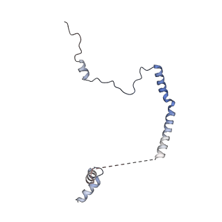 15860_8b5l_b_v1-1
Cryo-EM structure of ribosome-Sec61-TRAP (TRanslocon Associated Protein) translocon complex