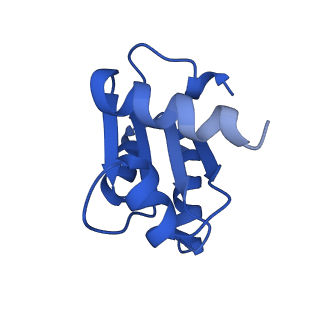 15860_8b5l_c_v1-1
Cryo-EM structure of ribosome-Sec61-TRAP (TRanslocon Associated Protein) translocon complex