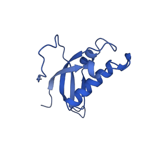 15860_8b5l_d_v1-1
Cryo-EM structure of ribosome-Sec61-TRAP (TRanslocon Associated Protein) translocon complex